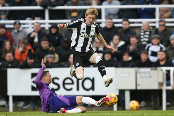 综上所述 综上所述